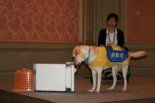 Support for the Japan Service Dog Association