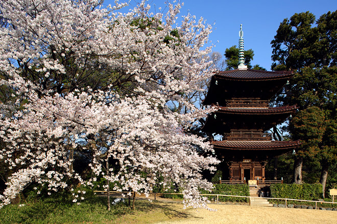The three-story pagoda, a registered Tangible Cultural Property