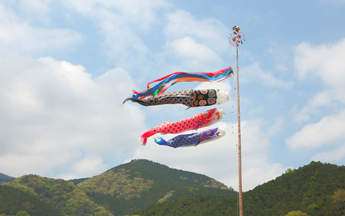 5 May Japan: Tìm Hiểu Ngày Trẻ Em và Các Hoạt Động Đặc Sắc